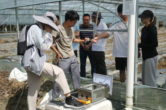 寧波財經學院“數智賦能鄉村”暑期社會實踐團成員在田間調試安裝設備 學校供圖1.jpg